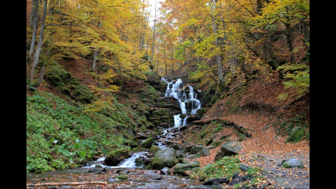 Sadyba Domashniy Zatyshok Pilipets Exterior foto