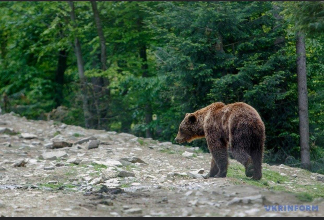 Sadyba Domashniy Zatyshok Pilipets Exterior foto