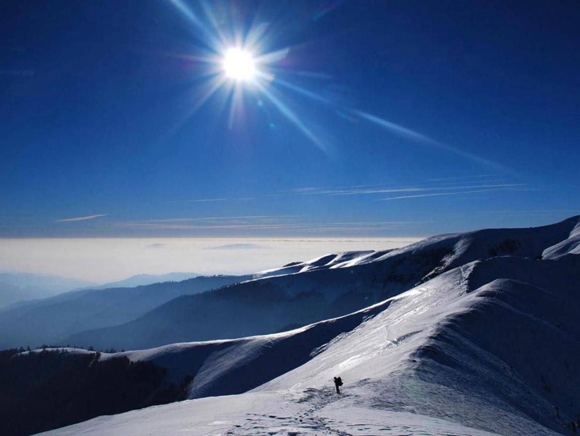 Sadyba Domashniy Zatyshok Pilipets Exterior foto