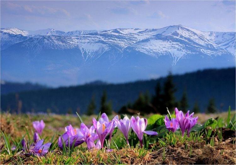 Sadyba Domashniy Zatyshok Pilipets Exterior foto